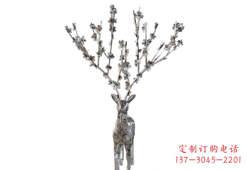 无锡梅花鹿的优雅身姿