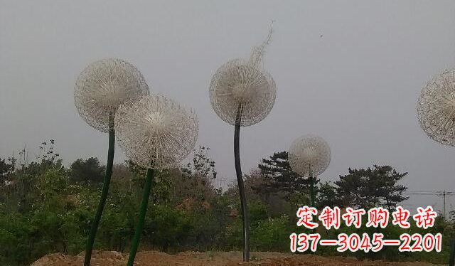 无锡蒲公英的绚丽多彩