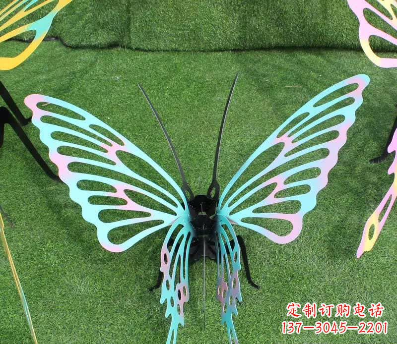 无锡彩色不锈钢镂空蝴蝶雕塑精美又充满生机