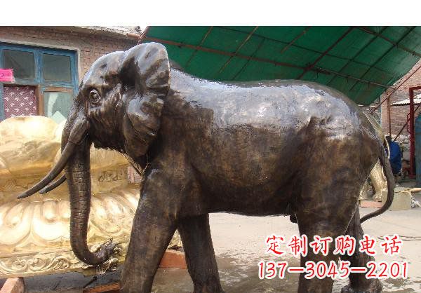 无锡精美大象铜雕塑