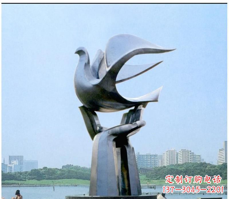 无锡静谧之鸽,传递和平象征~