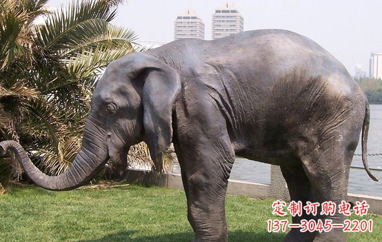 无锡高品质铜质大象雕塑