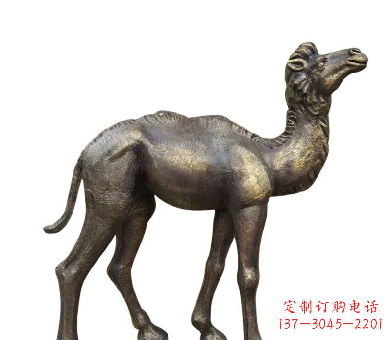无锡奇美洁净的骆驼铜雕