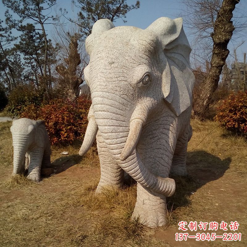 无锡中领雕塑荷花大象石浮雕