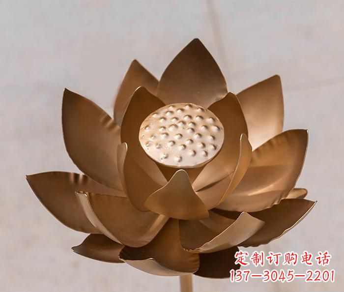 无锡铜雕景观荷花