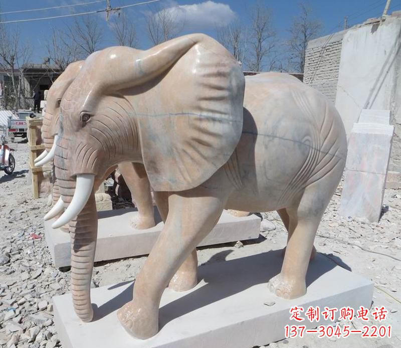 无锡晚霞红卷鼻大象