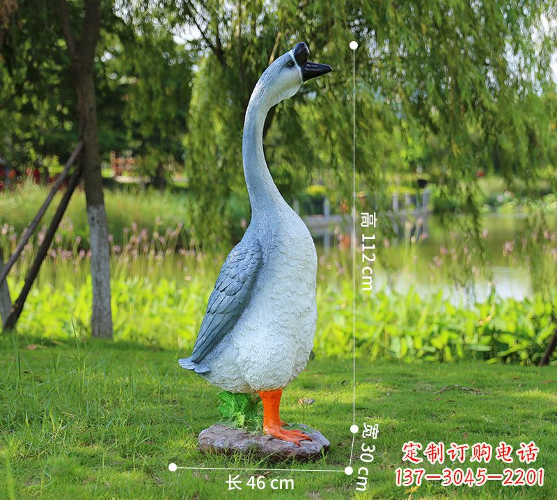 无锡站立立脖灰色天鹅